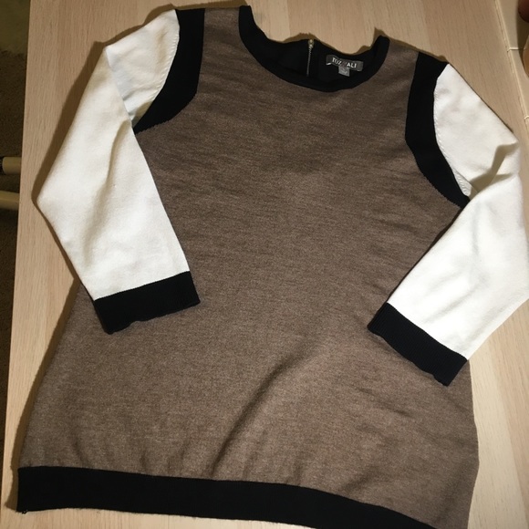 Roz & Ali Sweaters - Roz&Ali Colorblock Sweater